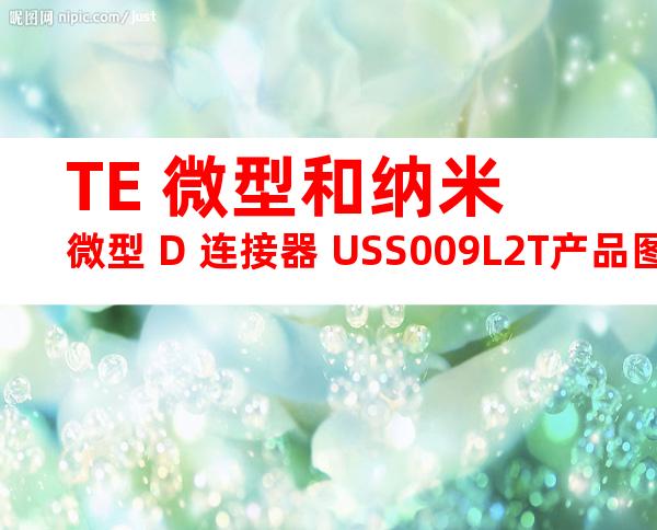 TE 微型和纳米微型 D 连接器 USS009L2T产品图纸